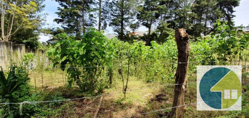 Terreno en Venta en Fraijanes -- TDV2139 — Terreno en Venta en Carretera a El Salvador, Guatemala, Ciudad — foto 9 de 14