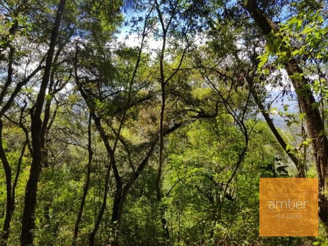 Finca Santa Lucía Milpas Altas — Finca en Venta en Santa Lucía Milpas Altas, Sacatepéquez — foto 3 de 5