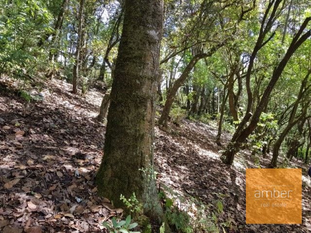 Finca Santa Lucía Milpas Altas — Finca en Venta en Santa Lucía Milpas Altas, Sacatepéquez — foto 5 de 5