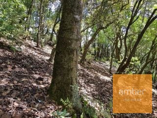 Finca Santa Lucía Milpas Altas — Finca en Venta en Santa Lucía Milpas Altas, Sacatepéquez — miniatura 5 de 5
