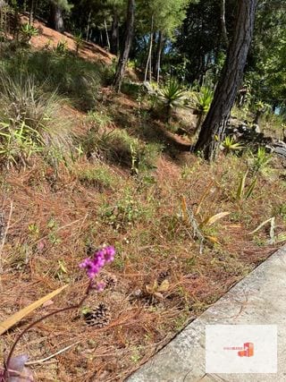 1 Mz con bellas vistas - S. Lucía Milpas Altas — Terreno en Venta en Santa Lucía Milpas Altas, Sacatepéquez — miniatura 14 de 16