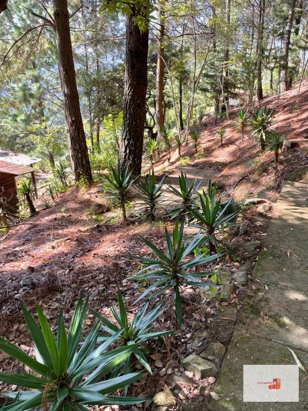 1 Mz con bellas vistas - S. Lucía Milpas Altas — Terreno en Venta en Santa Lucía Milpas Altas, Sacatepéquez — foto 10 de 16