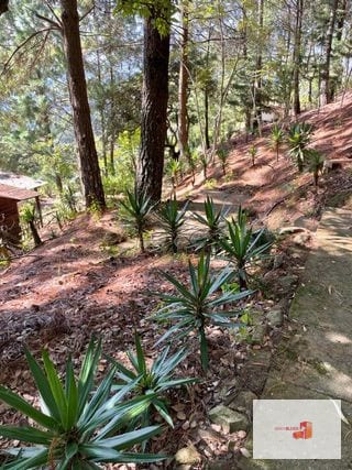 1 Mz con bellas vistas - S. Lucía Milpas Altas — Terreno en Venta en Santa Lucía Milpas Altas, Sacatepéquez — miniatura 10 de 16