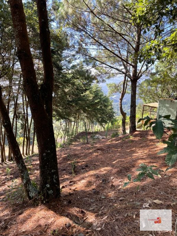 1 Mz con bellas vistas - S. Lucía Milpas Altas — Terreno en Venta en Santa Lucía Milpas Altas, Sacatepéquez — foto 9 de 16