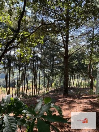 1 Mz con bellas vistas - S. Lucía Milpas Altas — Terreno en Venta en Santa Lucía Milpas Altas, Sacatepéquez — miniatura 2 de 16