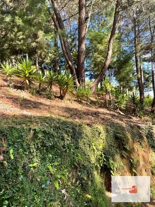 1 Mz con bellas vistas - S. Lucía Milpas Altas — Terreno en Venta en Santa Lucía Milpas Altas, Sacatepéquez — miniatura 3 de 16
