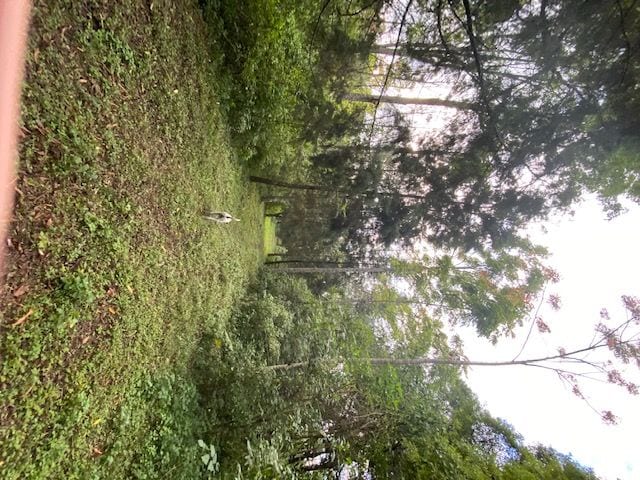 Propiedad en venta Santa Elena Barillas km 31 — Terreno en Venta en Santa Elena Barillas, Guatemala, Ciudad — foto 5 de 7