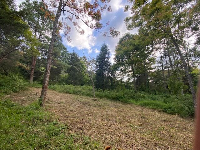 Propiedad en venta Santa Elena Barillas km 31 — Terreno en Venta en Santa Elena Barillas, Guatemala, Ciudad — foto 4 de 7
