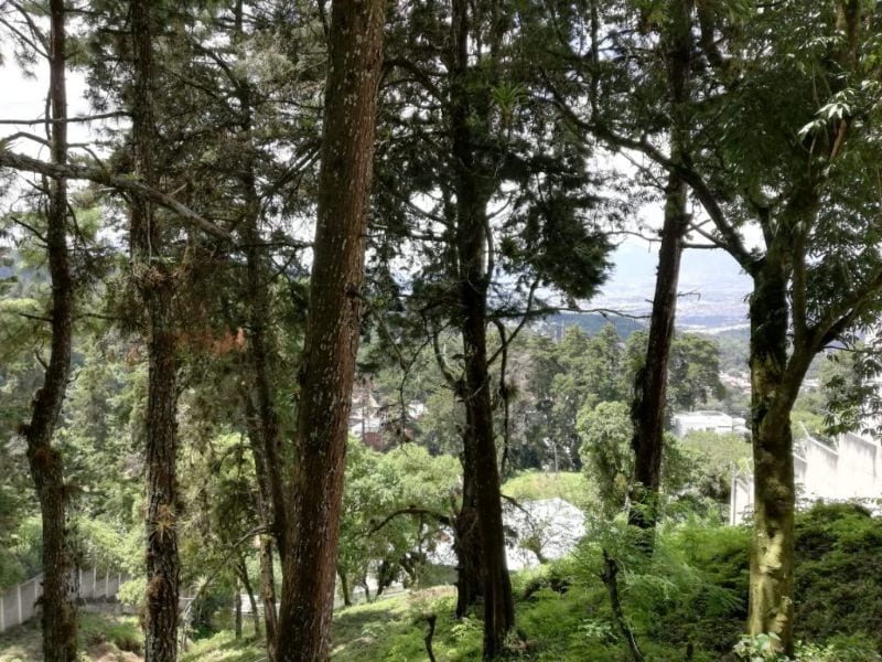 TERRENO EN ALTO VALLE KM 12.8 CARRETERA A EL SALVADOR — Terreno en Venta en Carretera a El Salvador, Guatemala, Ciudad — foto 3 de 4