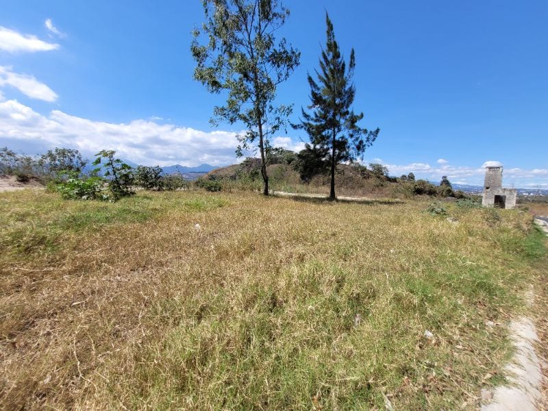 Terreno en venta para desarrollo vivienda popular — Terreno en Venta en Villa Canales, Guatemala, Ciudad — foto 4 de 7