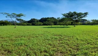 Alquilo terreno en parque industrial en Escuintla — Terreno en Alquiler en Escuintla, Escuintla — miniatura 4 de 4