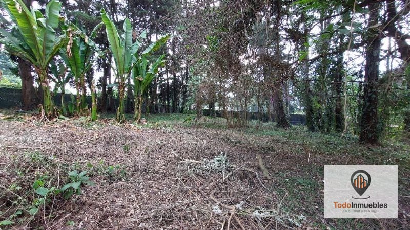 Terreno en Renta en Carretera a El Salvador km 19 - Villas del Pinar Fraijanes — Terreno en Alquiler en Villas del Pinar, Carretera a El Salvador, Guatemala, Ciudad — foto 3 de 6