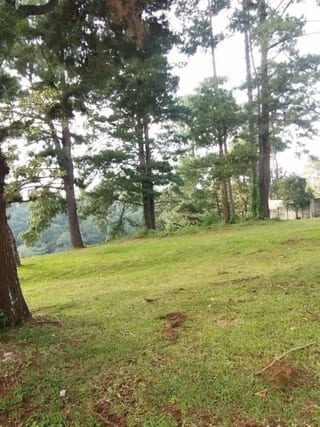 TERRENO EN KM 26 CARRETERA A EL SALVADOR — Terreno en Venta en Carretera a El Salvador, Guatemala, Ciudad — miniatura 2 de 6