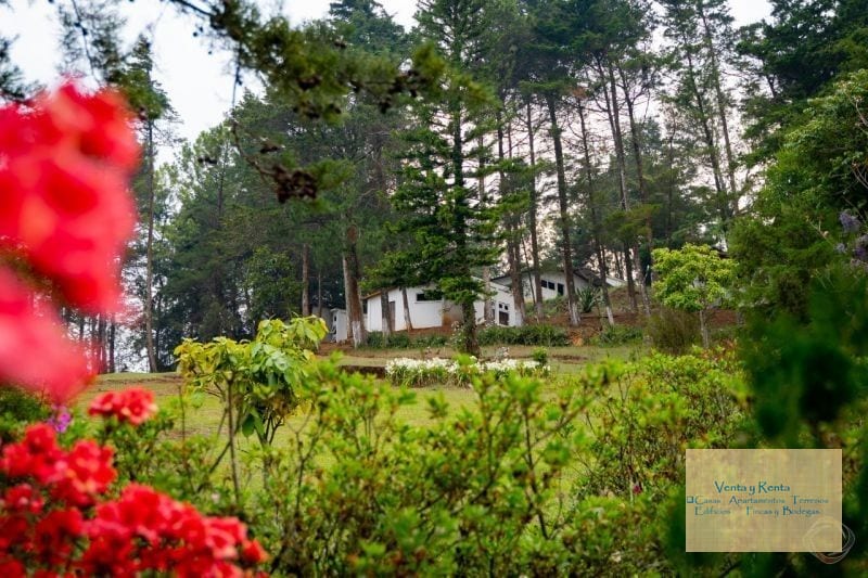 Terreno en Lo de Diéguez Carretera Olmeca Ideal Eventos — Terreno en Venta en Fraijanes, Carretera a El Salvador, Guatemala, Ciudad — foto 15 de 16