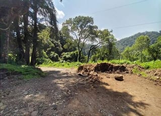 VENDO AMPLIO TERRENO EN GRANJA BUENOS AIRES, KM 22.5 Carr. al Salvador — Terreno en Venta en Carretera a El Salvador, Guatemala, Ciudad — miniatura 5 de 6