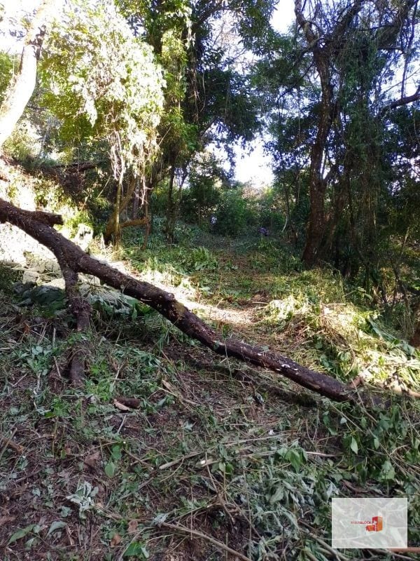 Venta de Terreno en El Encinal Tronco 8 - Mixco Guate — Terreno en Venta en Zona 7 Mixco, Guatemala, Ciudad — foto 3 de 11