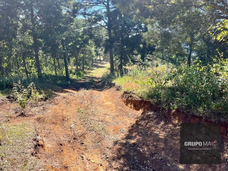 Finca Flor de Carmelo San José Pínula — Finca en Venta en San José Pinula, Guatemala, Ciudad — foto 2 de 7