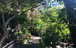 Casa a la venta en el valle alto de San Marcos La Laguna — Casa en Venta en San Marcos La Laguna, Sololá — miniatura 13 de 17