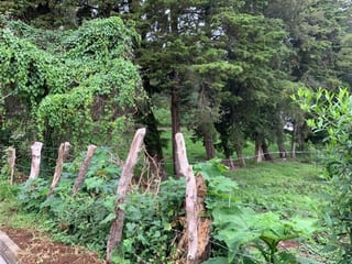 HERMOSO TERRENO CARRETERA A FRAIJANES — Terreno en Venta en Carretera a El Salvador, Guatemala, Ciudad — miniatura 4 de 4
