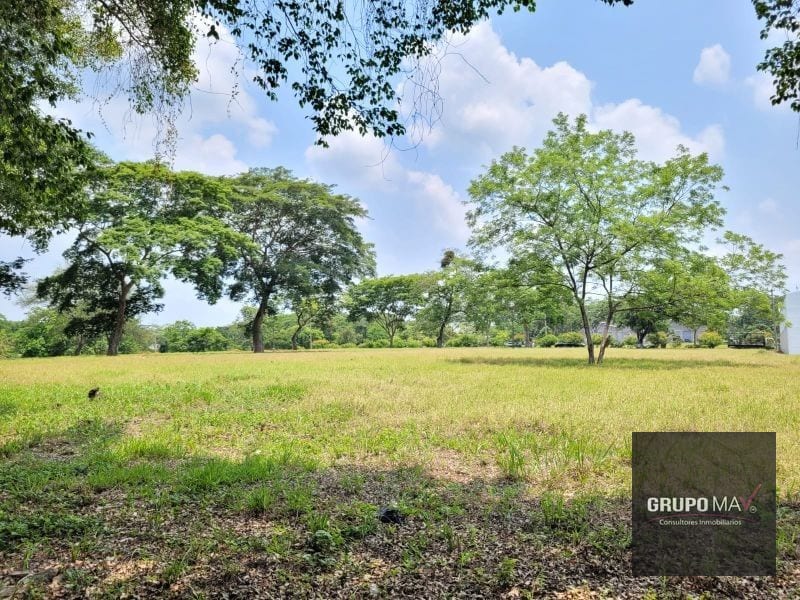 Terreno Industrial para Bodega Km 67.5 a Taxisco — Terreno en Venta en Escuintla, Escuintla — foto 4 de 8