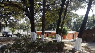 Terreno Calzada Roosevelt en Venta — Terreno en Venta en Zona 1 Mixco, Guatemala, Ciudad — miniatura 10 de 11