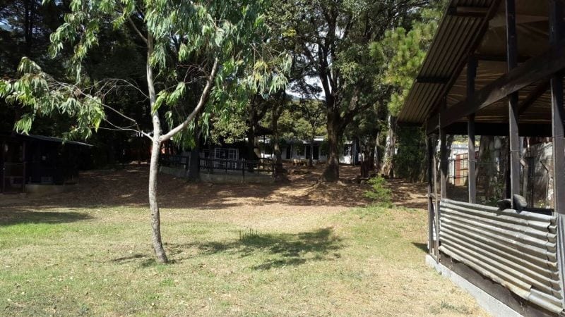 Terreno Calzada Roosevelt en Venta — Terreno en Venta en Zona 1 Mixco, Guatemala, Ciudad — foto 5 de 11
