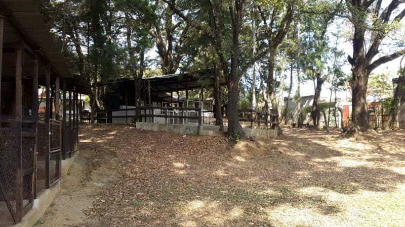 Terreno Calzada Roosevelt en Venta — Terreno en Venta en Zona 1 Mixco, Guatemala, Ciudad — foto 11 de 11