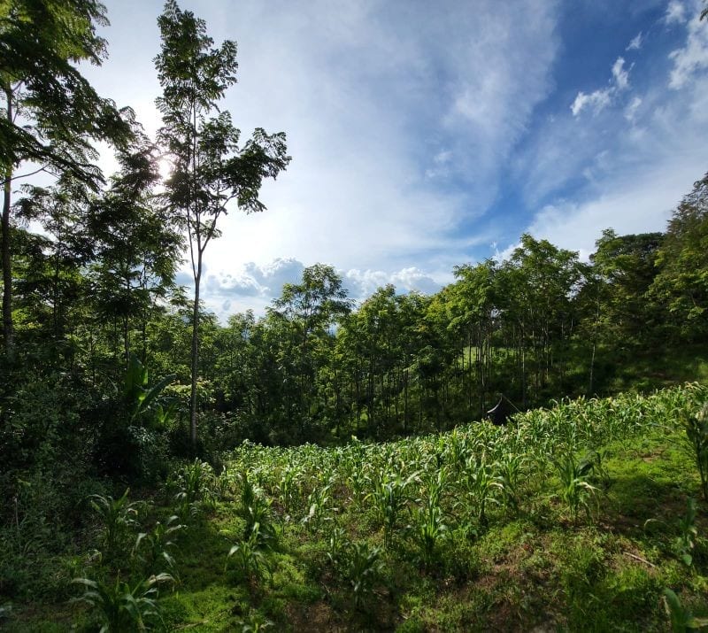 FINCA EN VENTA EN SAN JOSE PINULA CAMINO A LOS OCOTES — Finca en Venta en San José Pinula, Guatemala, Ciudad — foto 16 de 17