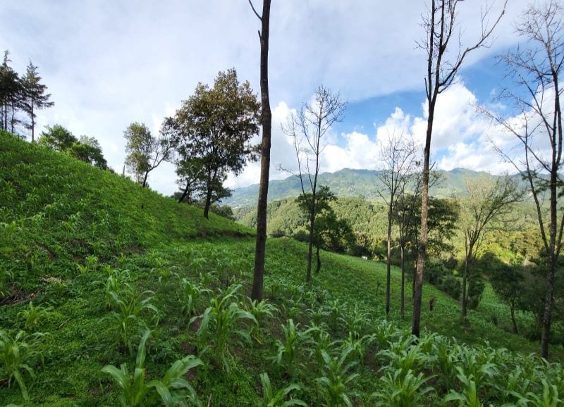 FINCA EN VENTA EN SAN JOSE PINULA CAMINO A LOS OCOTES — Finca en Venta en San José Pinula, Guatemala, Ciudad — foto 17 de 17
