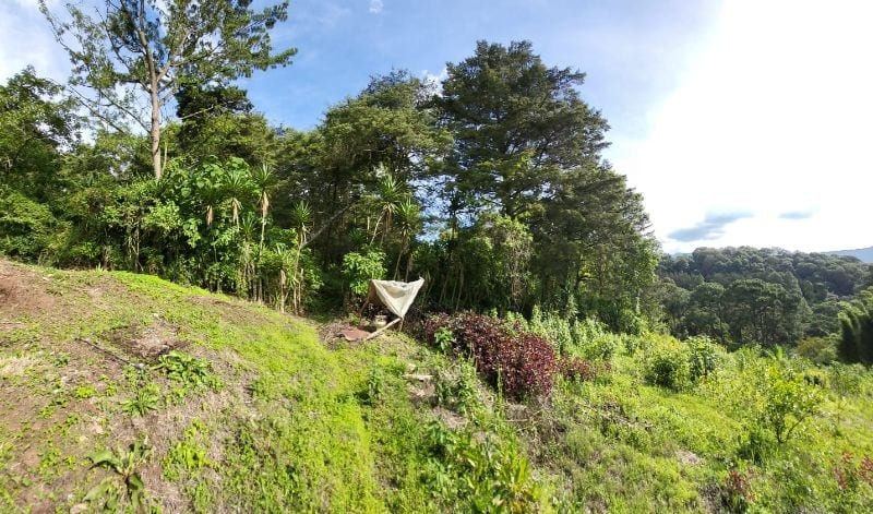 FINCA EN VENTA EN SAN JOSE PINULA CAMINO A LOS OCOTES — Finca en Venta en San José Pinula, Guatemala, Ciudad — foto 9 de 17