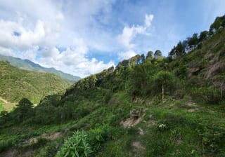 FINCA EN VENTA EN SAN JOSE PINULA CAMINO A LOS OCOTES — Finca en Venta en San José Pinula, Guatemala, Ciudad — miniatura 12 de 17