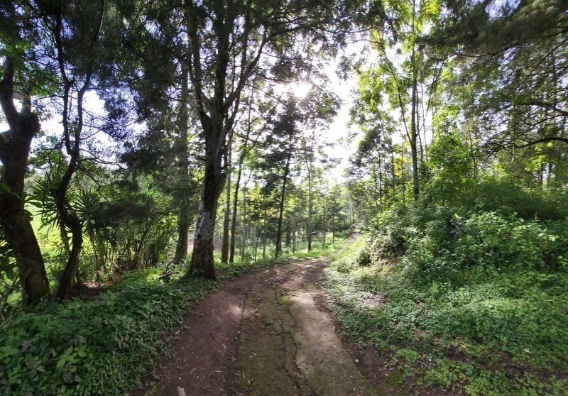 FINCA EN VENTA EN SAN JOSE PINULA CAMINO A LOS OCOTES — Finca en Venta en San José Pinula, Guatemala, Ciudad — foto 4 de 17