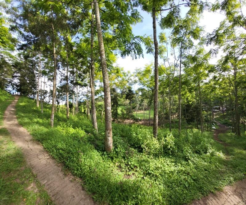 FINCA EN VENTA EN SAN JOSE PINULA CAMINO A LOS OCOTES — Finca en Venta en San José Pinula, Guatemala, Ciudad — foto 6 de 17