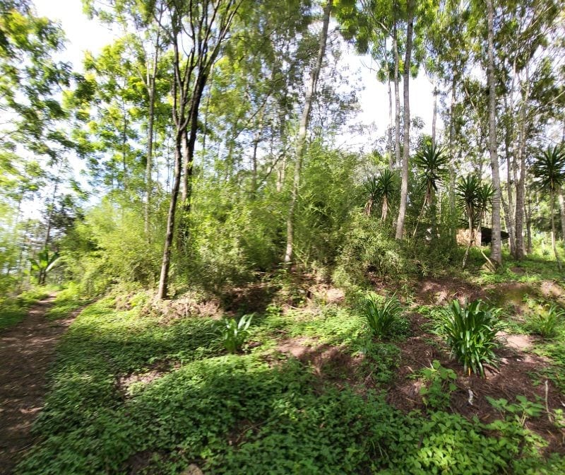 FINCA EN VENTA EN SAN JOSE PINULA CAMINO A LOS OCOTES — Finca en Venta en San José Pinula, Guatemala, Ciudad — foto 14 de 17