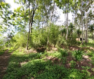 FINCA EN VENTA EN SAN JOSE PINULA CAMINO A LOS OCOTES — Finca en Venta en San José Pinula, Guatemala, Ciudad — miniatura 14 de 17