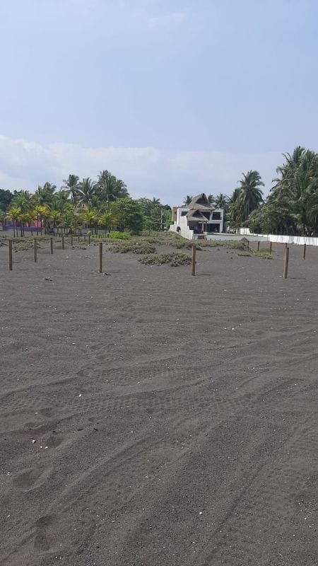 MARENA TERRENO FRENTE AL MAR EN VENTA — Terreno en Venta en Marena, Puerto San José, Escuintla — foto 3 de 6