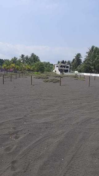 MARENA TERRENO FRENTE AL MAR EN VENTA — Terreno en Venta en Marena, Puerto San José, Escuintla — miniatura 3 de 6