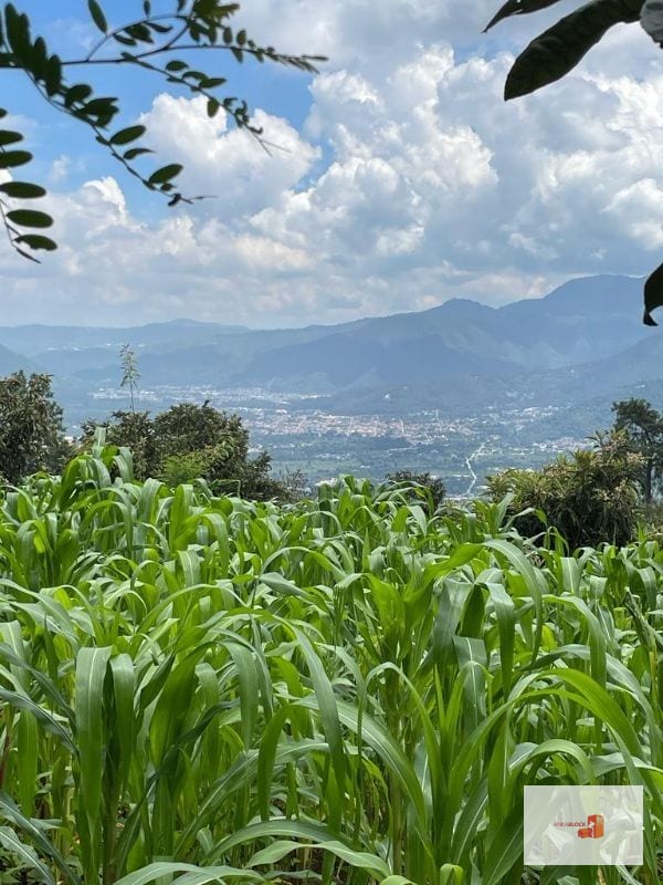 Terreno con bella vista a volcanes y ciudad de Antigua — Terreno en Venta en Antigua, Sacatepéquez — foto 1 de 6
