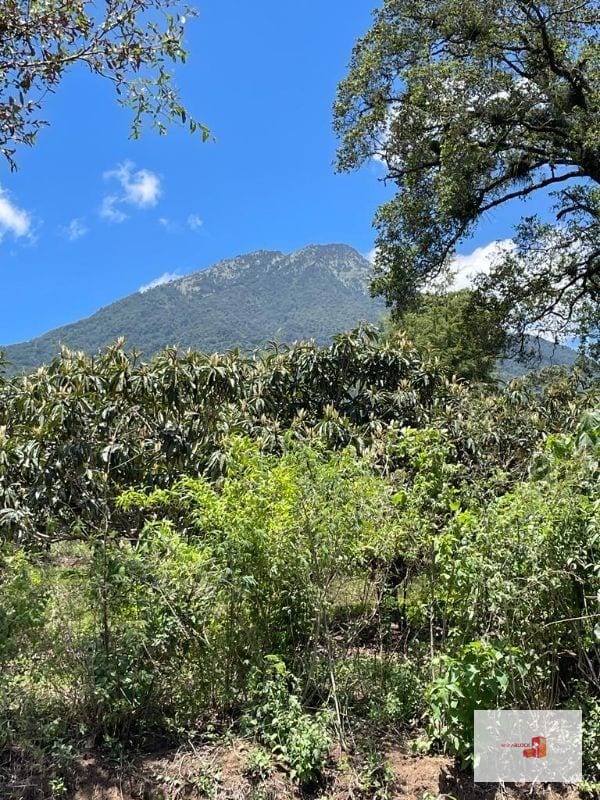 Terreno con bella vista a volcanes y ciudad de Antigua — Terreno en Venta en Antigua, Sacatepéquez — foto 3 de 6
