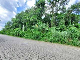 VENDO TERRENO GRANDE EN MAZATENANGO IDEAL DESARROLLO — Terreno en Venta en Mazatenango, Suchitepéquez — miniatura 2 de 9