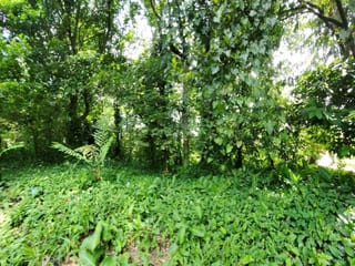 VENDO TERRENO GRANDE EN MAZATENANGO IDEAL DESARROLLO — Terreno en Venta en Mazatenango, Suchitepéquez — miniatura 4 de 9