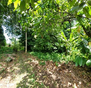VENDO TERRENO GRANDE EN MAZATENANGO IDEAL DESARROLLO — Terreno en Venta en Mazatenango, Suchitepéquez — miniatura 8 de 9