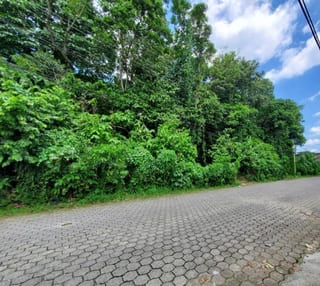VENDO TERRENO GRANDE EN MAZATENANGO IDEAL DESARROLLO — Terreno en Venta en Mazatenango, Suchitepéquez — miniatura 9 de 9