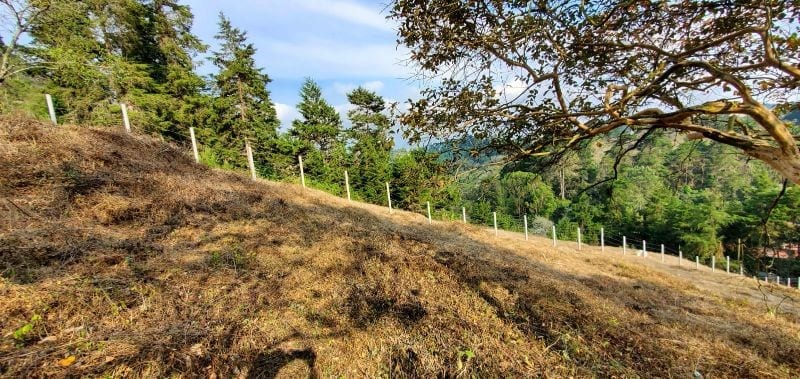TERRENO GRANDE EN VENTA EN SAN JOSE PINULA KM 19 — Terreno en Venta en San José Pinula, Guatemala, Ciudad — foto 9 de 14