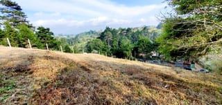 TERRENO GRANDE EN VENTA EN SAN JOSE PINULA KM 19 — Terreno en Venta en San José Pinula, Guatemala, Ciudad — miniatura 11 de 14