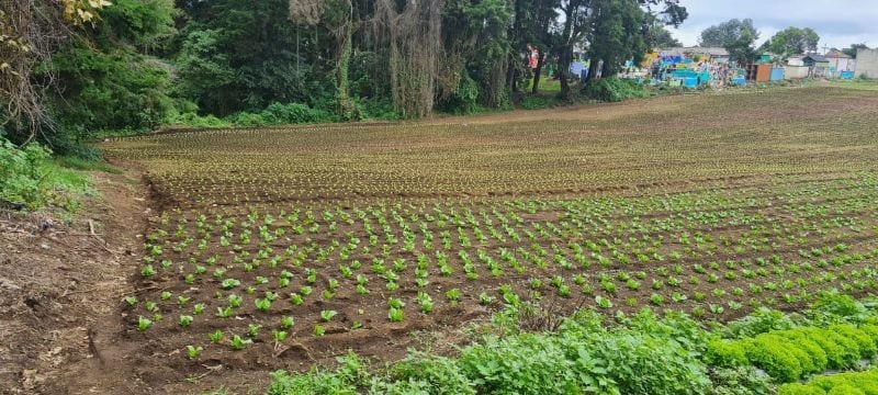 VENTA TERRENO EN STO TOMAS MILPAS ALTAS, CERCA DE ANTIGUA G — Terreno en Venta en Santo Tomás Milpas Altas, Sacatepéquez — foto 3 de 8