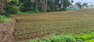 VENTA TERRENO EN STO TOMAS MILPAS ALTAS, CERCA DE ANTIGUA G — Terreno en Venta en Santo Tomás Milpas Altas, Sacatepéquez — miniatura 3 de 8