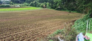 VENTA TERRENO EN STO TOMAS MILPAS ALTAS, CERCA DE ANTIGUA G — Terreno en Venta en Santo Tomás Milpas Altas, Sacatepéquez — miniatura 5 de 8