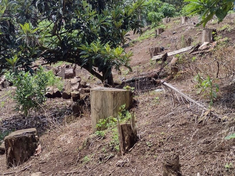 Terreno en Km 24 Carretera a El Salvador — Terreno en Venta en Carretera a El Salvador, Guatemala, Ciudad — foto 3 de 3