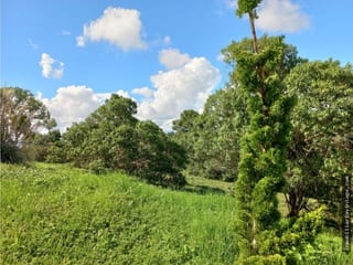 EL PULTE ECUESTRE TERRENO EN VENTA ZONA 16 — Terreno en Venta en El Pulté, Zona 16, Guatemala, Ciudad — miniatura 7 de 10